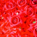 Artificial Silk Red Roses - 12 Flowers Bunch