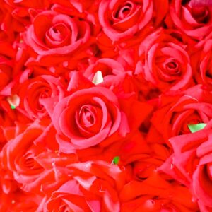 Roses have long been cherished as symbols of love, affection, and gratitude. Our silk roses make a thoughtful and enduring gift for any occasion, whether it's a birthday, anniversary, Valentine's Day, or simply a gesture of appreciation.