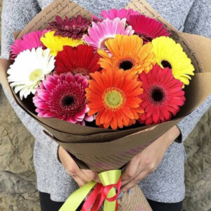 13 mixed color gerberas bunch