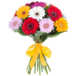 15 Mixed Color Gerbera Bunch with a Nice Ribbon