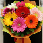 9 Mixed Color Gerbera Bunch Wrapped