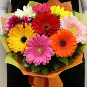 9 multi coloured gerberas