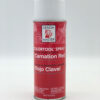 Design Master Colortool Carnation Red Spray