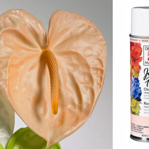 Design Master Osiana Peach Color Spray