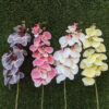 Experience the timeless elegance of our Real Touch 9 Flower Phalaenopsis Orchid