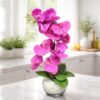 Nature-Identical Phalaenopsis Orchids.
