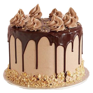 Coffee cake dripped cake with cashew nuts.