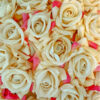 Embrace the timeless beauty of roses with our exquisite collection of silk roses. Crafted from the finest silk, these artificial roses capture the essence of real flowers, offering a touch of elegance and romance to any occasion. Whether you're decorating your home, planning a special event, or seeking a thoughtful gift, our silk roses are sure to impress.