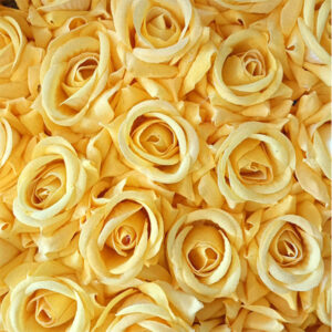 Our silk roses make a thoughtful and enduring gift for any occasion, whether it's a birthday, anniversary, Valentine's Day, or simply a gesture of appreciation.