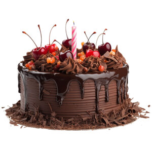 Gateau Cakes