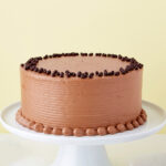 Chocolate Cake with Chips