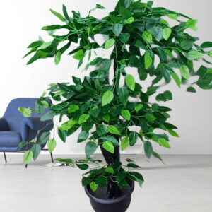 High-quality artificial Benjamín trees are designed to mimic the natural appearance