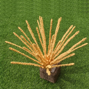 Traditionally used for auspicious occasions and decorative purposes, the coconut flower holds deep symbolic meaning.