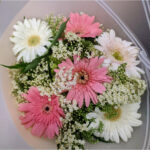Fresh Bunch of 6 Gerberas with Greens