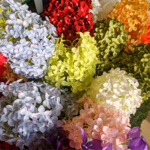 Enjoy the perpetual beauty of hydrangeas without the need for watering