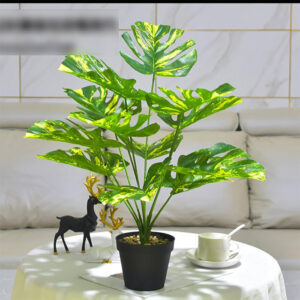 Enjoy the beauty of greenery without the need for watering, pruning, or sunlight.