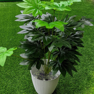 Ideal for adding a touch of natural elegance to weddings, livening up your home or office