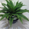 Each fern bush features an abundance of delicate, feathery fronds meticulously crafted to mimic the authentic texture and vibrant green hues of a real Boston Fern.