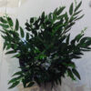 Bring the serene, flowing beauty of nature into any setting with our Naa or Willow Leaf Green Fake Leaves.