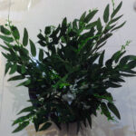 Lifelike Willow Leaf Green Fake Bunch of Leaves, Fake Greenery, Suitable for Decorating Office, Living Room, Bedroom Fake Leaves in a Pot - 2 Ft