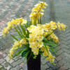 Enjoy year-round beauty and effortless sophistication with our stunning artificial orchid flowers in a wooden vase.