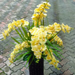Lifelike artificial Orchid flowers for Decorating Office, Living Room, Bedroom in a Wooden Vase - 4 Ft