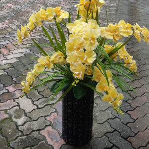 An ideal solution for adding lasting freshness and elegance to your home, office, or as a thoughtful, low-maintenance gift.