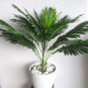 Transform your home, office, event, or wedding decor with the stunning beauty of our 2-foot tall Lifelike Artificial Monstera Leaf Tree.