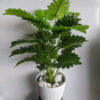 Designed to mimic the natural charm of a real Monstera plant, this faux tropical plant offers all the aesthetic appeal without any of the maintenance.