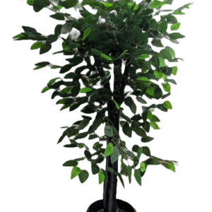 Enjoy the lush beauty of this popular indoor tree year-round without the need for watering, specific light conditions