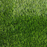 EverGreen 25mm Artificial Grass Carpet for Room, Garden, Lawn, & Balcony - 1 feet x 1 feet