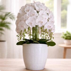 A captivating arrangement of 10-stem artificial Phalaenopsis orchids