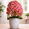 A captivating arrangement of 10-stem artificial Phalaenopsis orchids