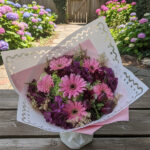Soft Pink Gerbera Daisies for Radiating Warmth and Grace.