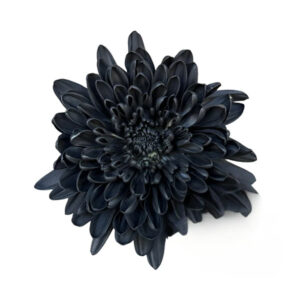 Design Master Colortool Floral Spray Paint in Flat Black (Negro Mate)