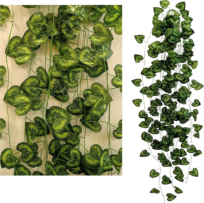 Designed with heart-shaped leaves boasting variegated yellow-green patterns
