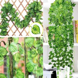 This lush trailing vine brings vibrant natural charm to any space